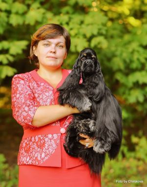 Dog Photo