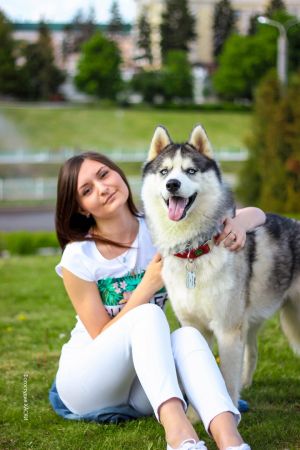 Dog Photo