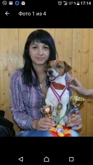 Dog Photo
