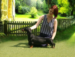 Dog Photo