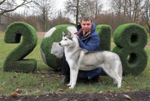 Dog Photo