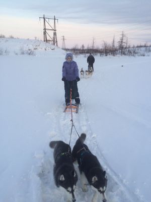 Dog Photo