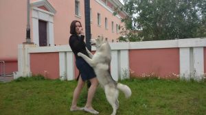 Dog Photo