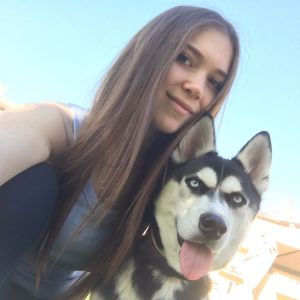 Dog Photo