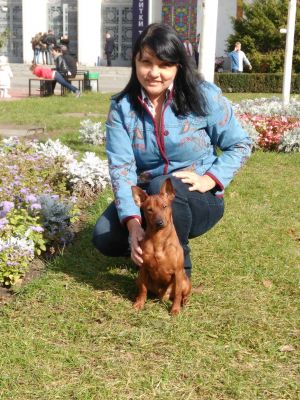 Dog Photo