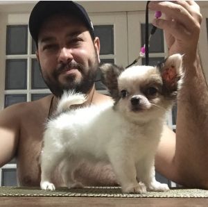Dog Photo
