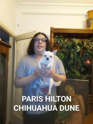 Dog Photo
