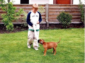 Dog Photo