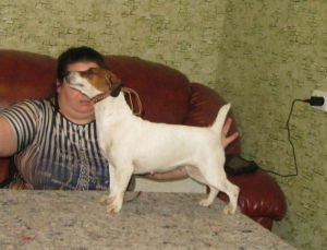 Dog Photo