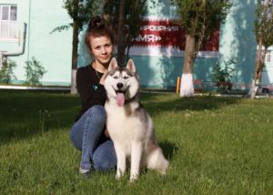 Dog Photo