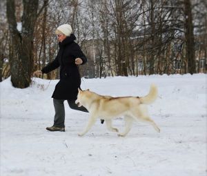Dog Photo