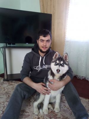 Dog Photo