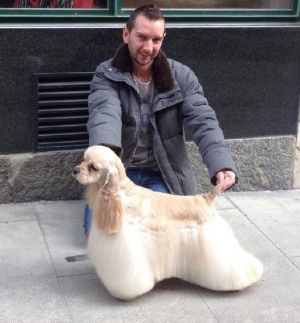 Dog Photo
