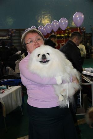 Dog Photo