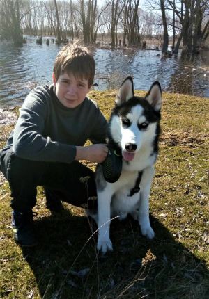 Dog Photo
