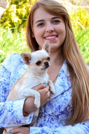 Dog Photo