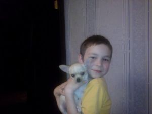 Dog Photo
