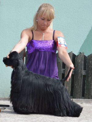 Dog Photo