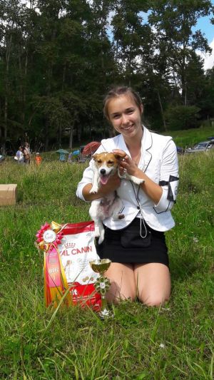 Dog Photo