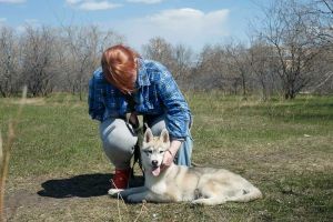 Dog Photo