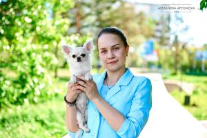 Dog Photo