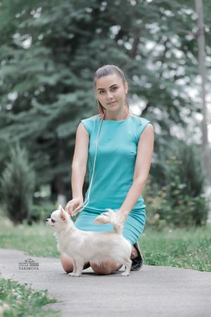 Dog Photo