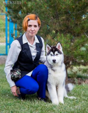 Dog Photo