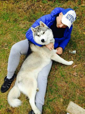 Dog Photo