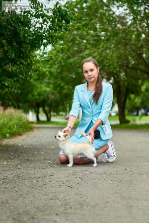 Dog Photo