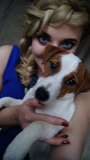 Dog Photo