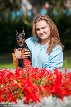 Dog Photo