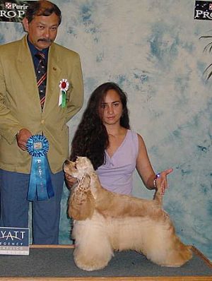 Dog Photo