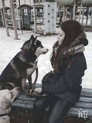 Dog Photo