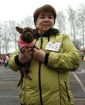 Dog Photo