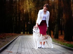 Dog Photo