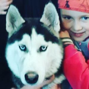Dog Photo