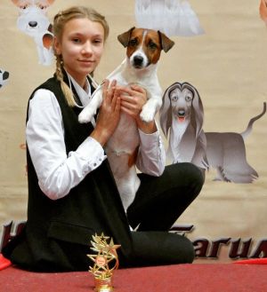 Dog Photo