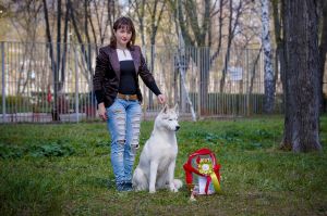 Dog Photo