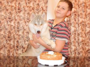 Dog Photo