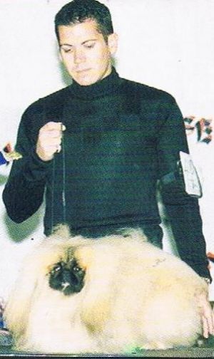 Dog Photo