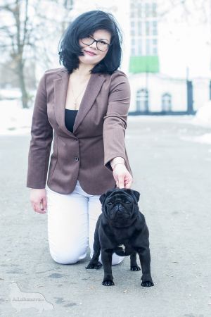 Dog Photo