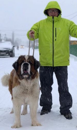Dog Photo