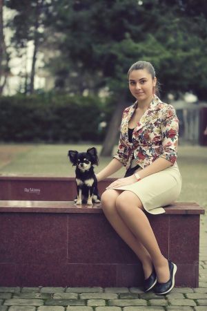 Dog Photo