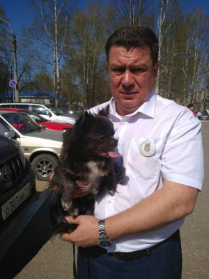 Dog Photo