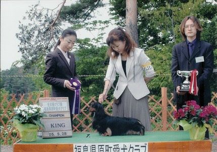 Dog Photo