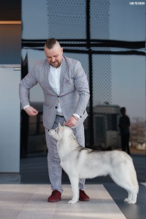 Dog Photo