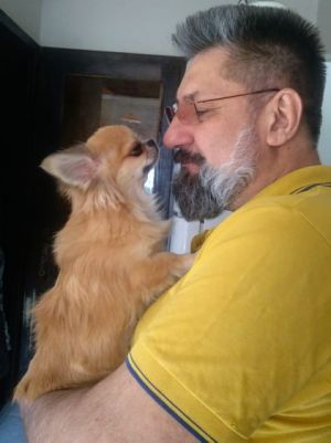 Dog Photo