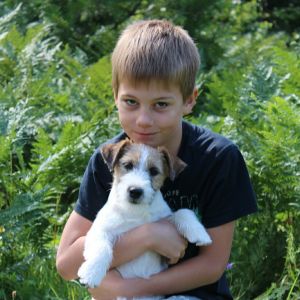 Dog Photo