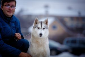 Dog Photo