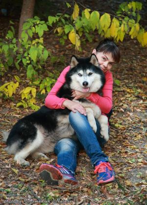 Dog Photo